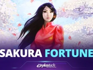 Sakura Fortune icon